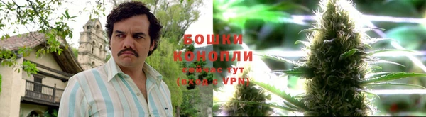 трава Алексеевка